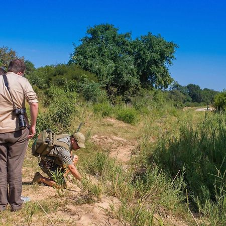 Inyati Game Lodge Metsi Kültér fotó