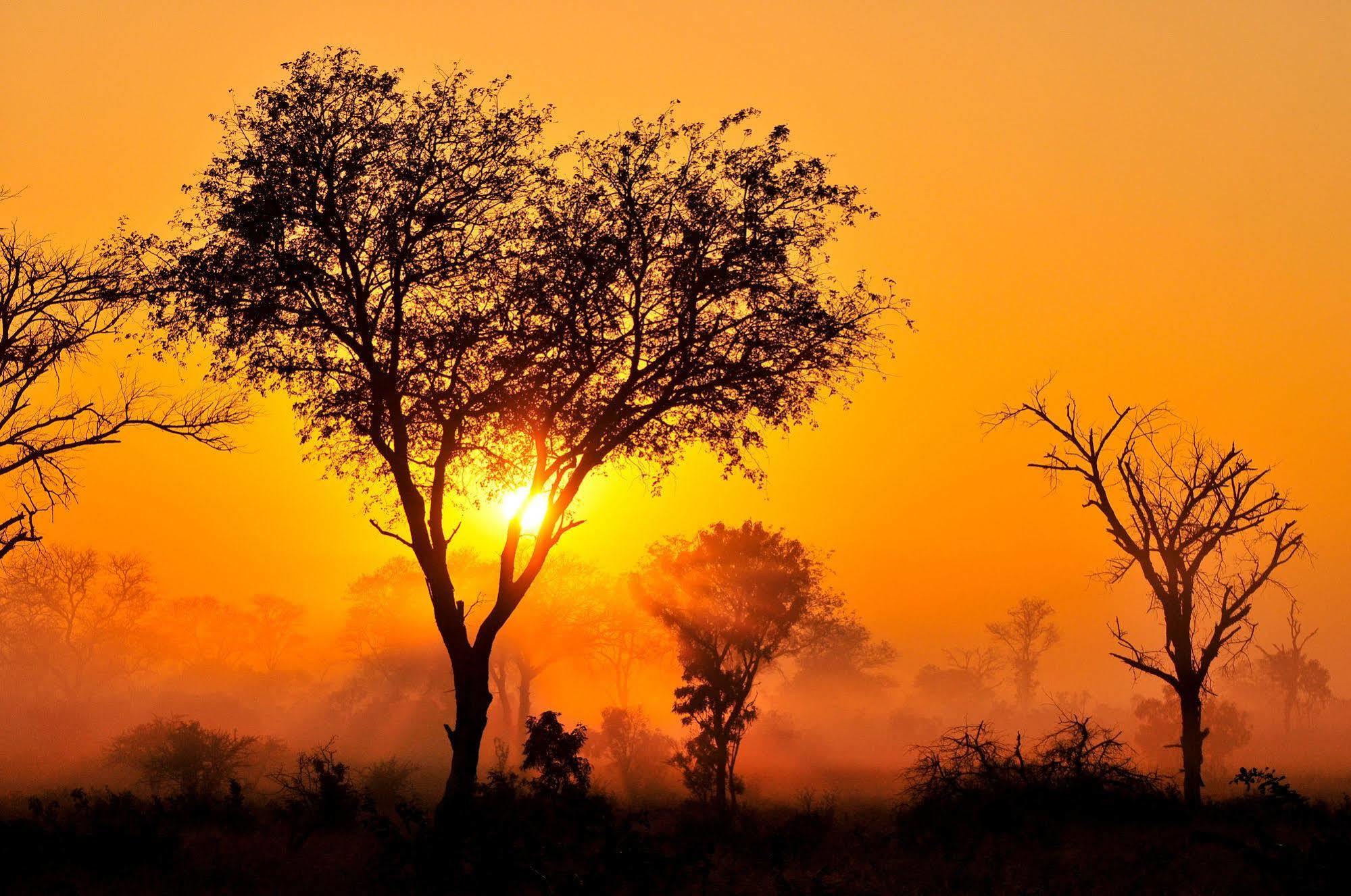 Inyati Game Lodge Metsi Kültér fotó