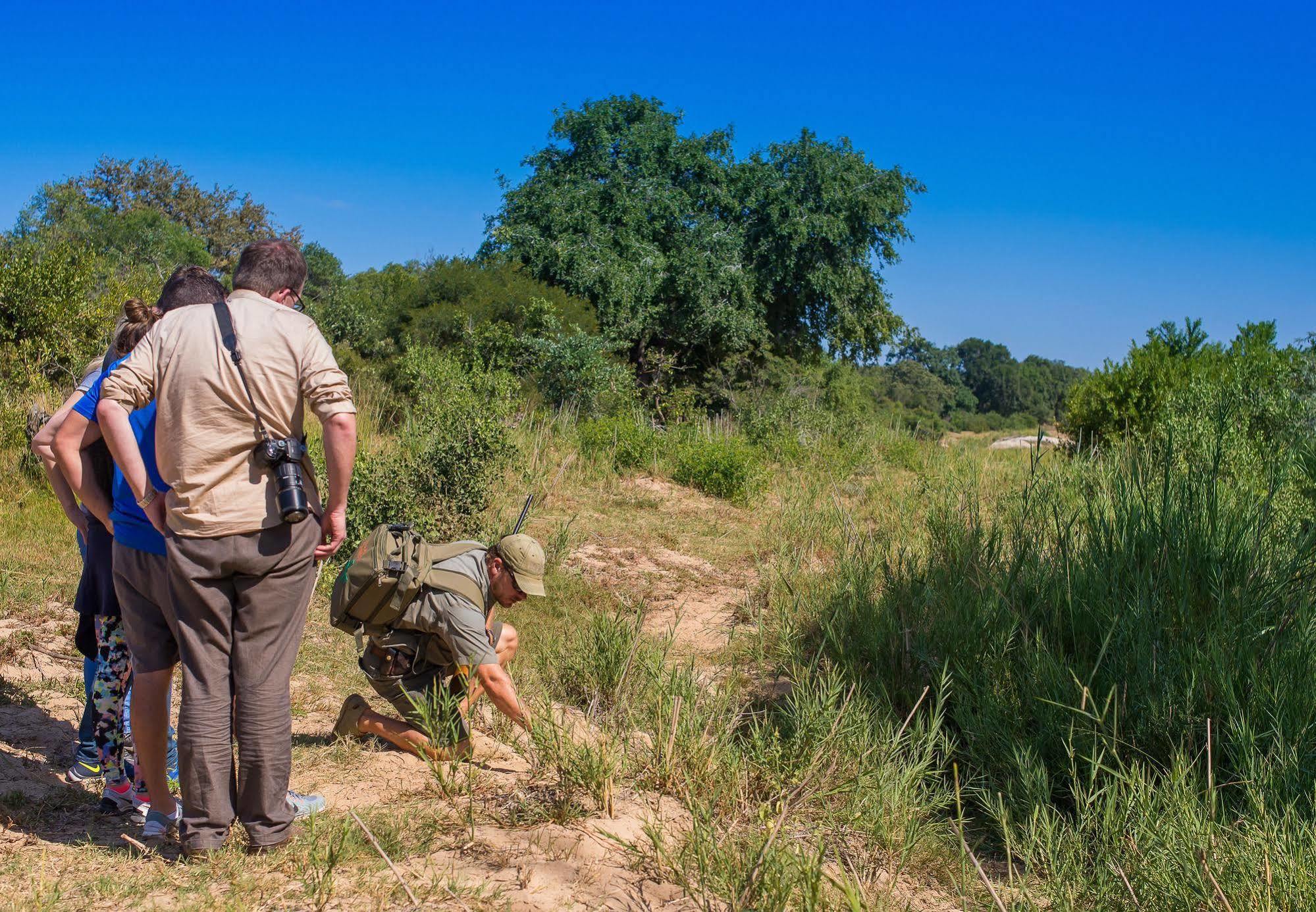 Inyati Game Lodge Metsi Kültér fotó