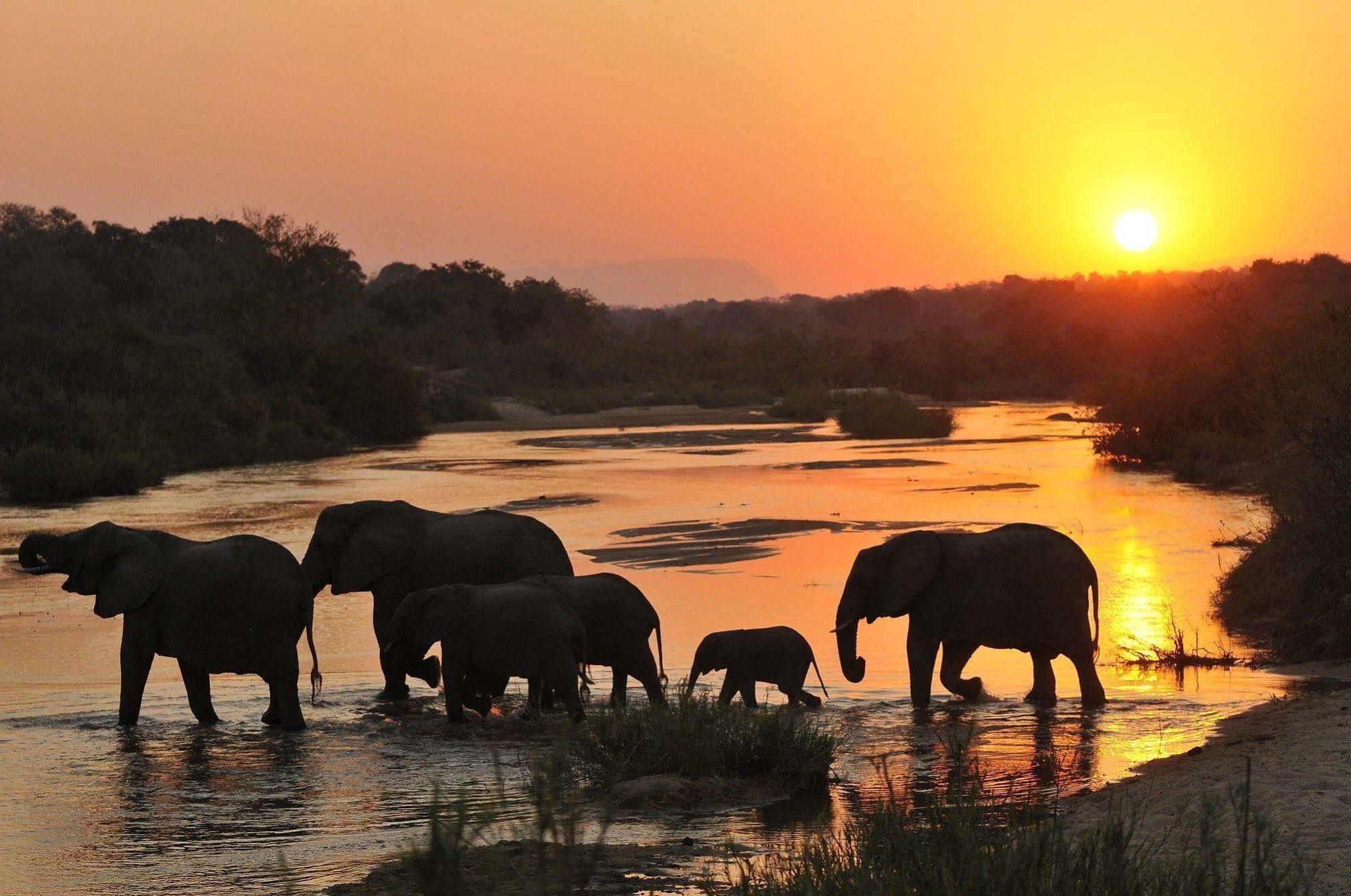 Inyati Game Lodge Metsi Kültér fotó